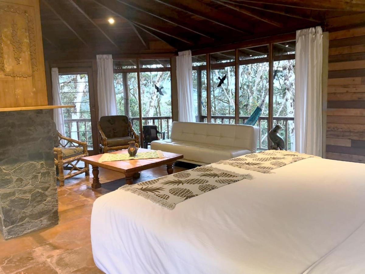 San Isidro Lodge Cosanga Dış mekan fotoğraf