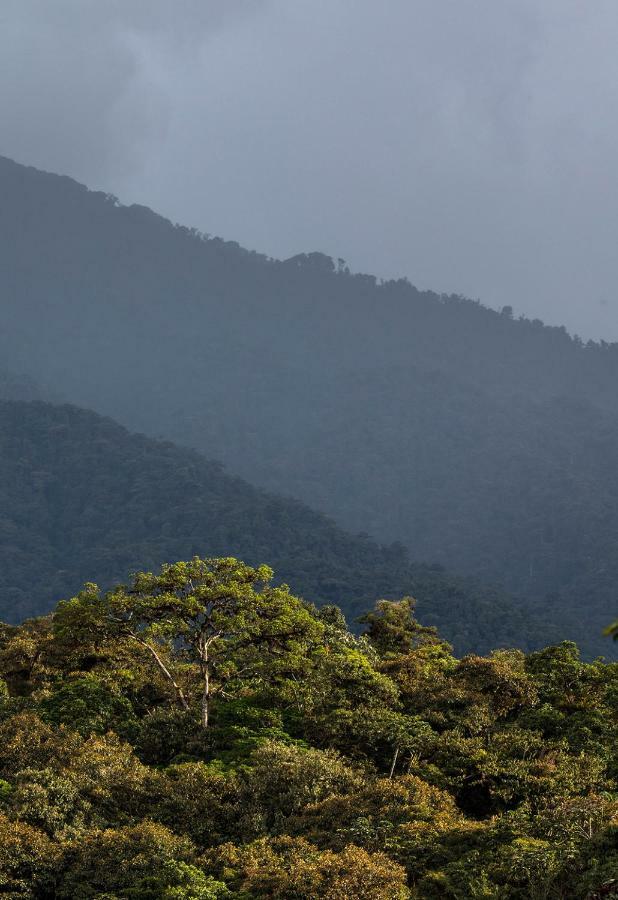 San Isidro Lodge Cosanga Dış mekan fotoğraf