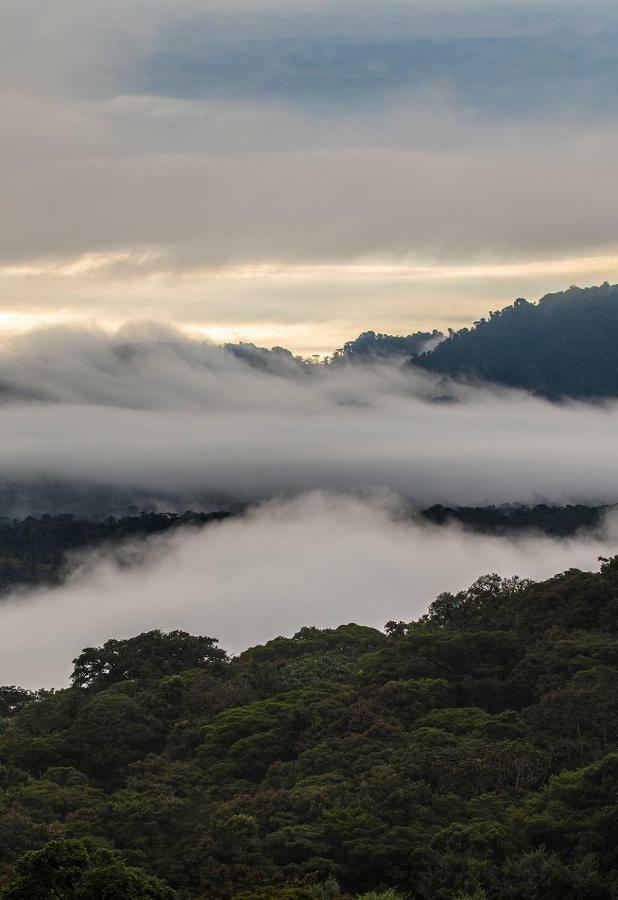 San Isidro Lodge Cosanga Dış mekan fotoğraf