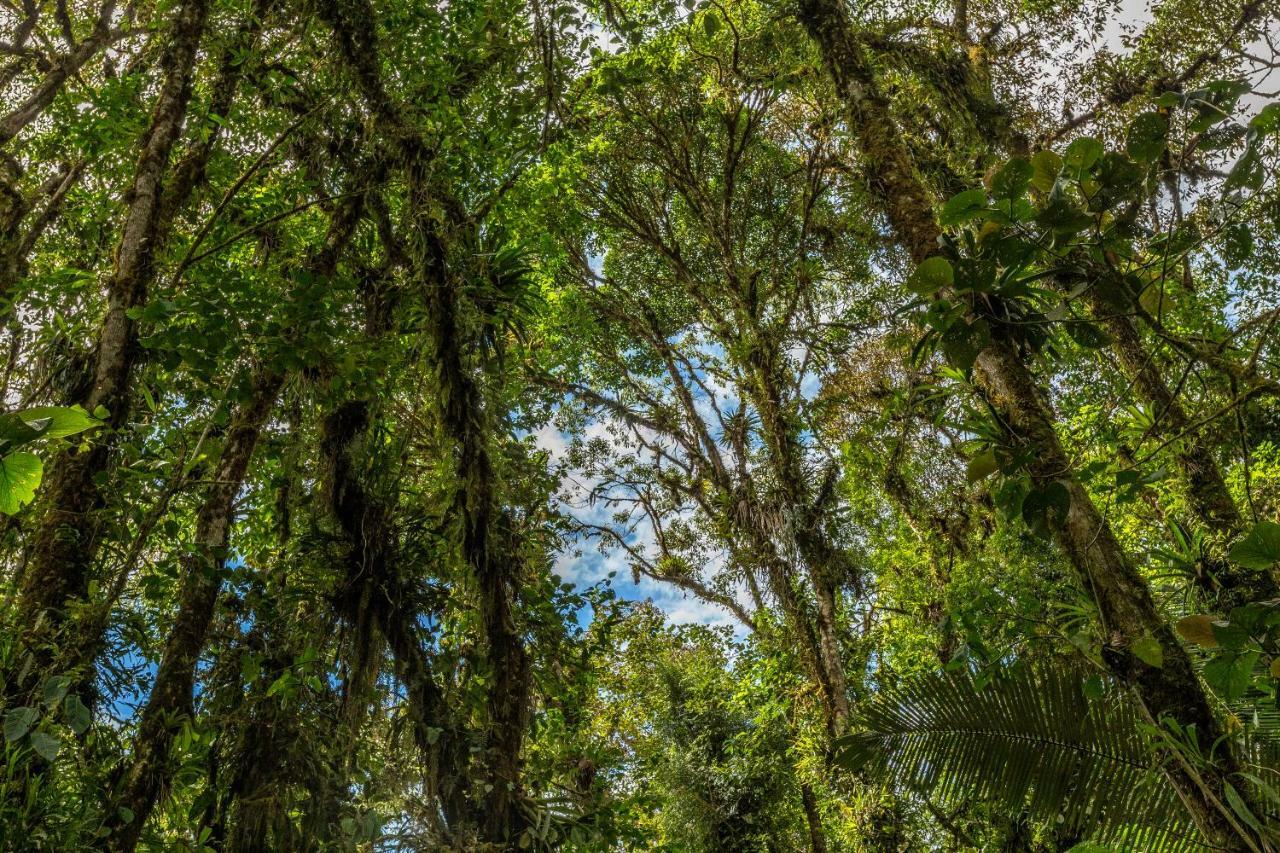 San Isidro Lodge Cosanga Dış mekan fotoğraf